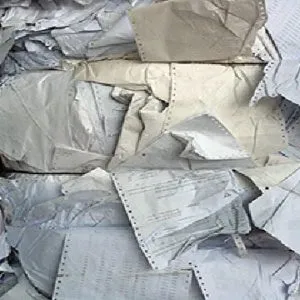Computer Print Out (CPO)